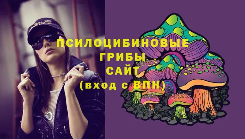 где продают наркотики  мега вход  Псилоцибиновые грибы MAGIC MUSHROOMS  Россошь 